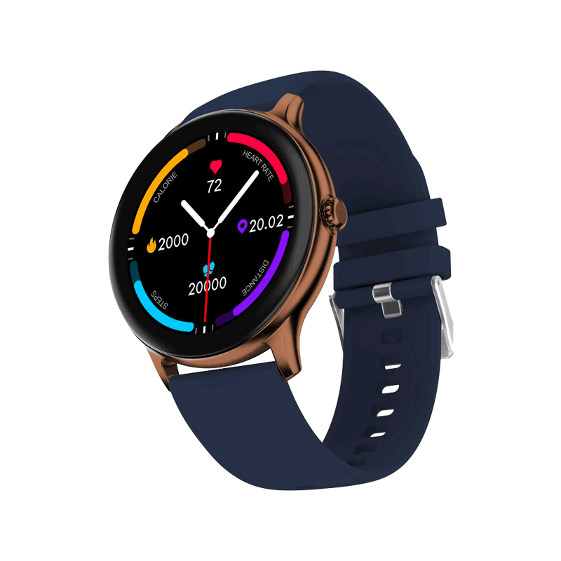 Fire-Boltt Phoenix Pro smartwatch